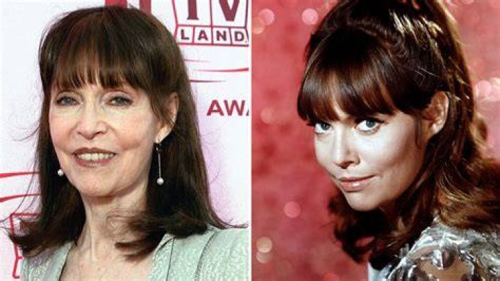 Barbara Feldon Biography, Age, Height, Husband, Net Worth, Family