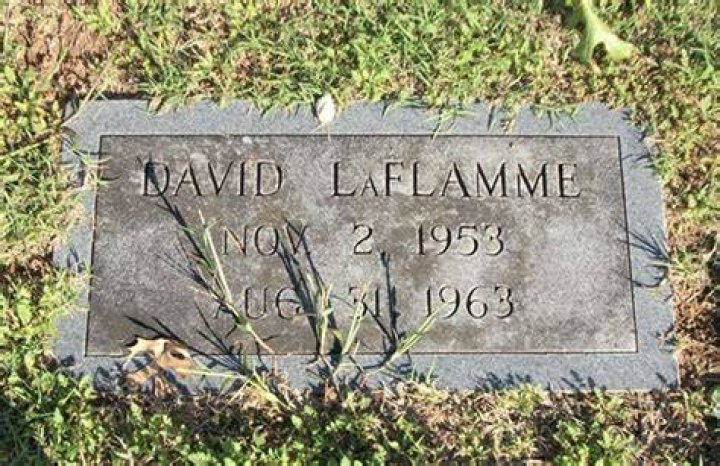 David LaFlamme biografía, edad, altura, esposo, net worth, familia