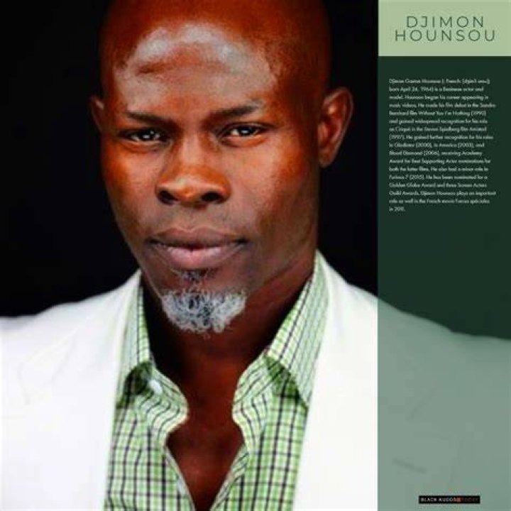 Djimon Hounsou Biography, Age, Height, Wife, Net Worth, Family