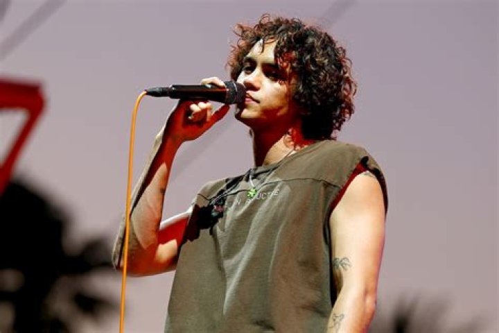 Dominic Fike Biography, Age, Height, Wife, Net Worth, Family