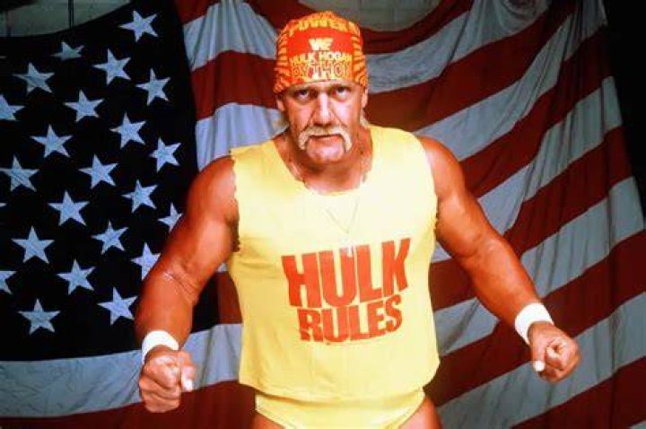 Hulk Hogan Biography, Age, Height, Wife, Net Worth, Family
