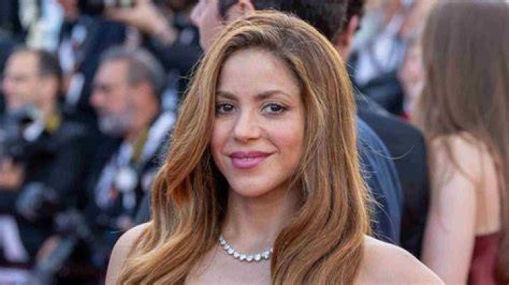 Shakira biografía, edad, altura, esposa, net worth, familia
