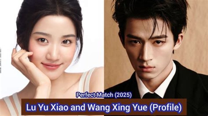 Wang Shuo Biography, Age, Height, Wife, Net Worth, Family