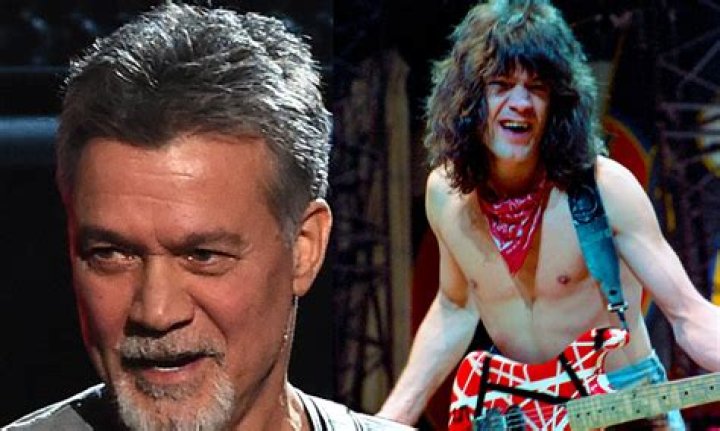 Wolfgang Van Halen Biography, Age, Height, Wife, Net Worth, Family